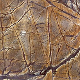 RAIN FOREST BROWN marble